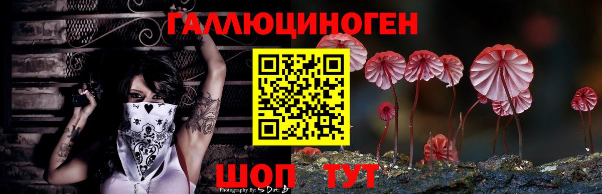 Галлюциногенные грибы Magic Shrooms Кувандык
