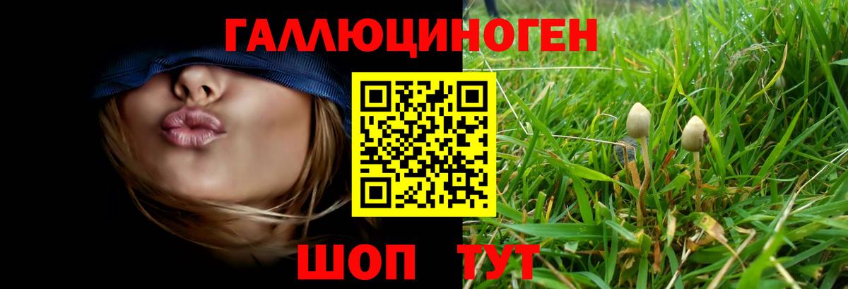 Псилоцибиновые грибы мухоморы  Галлюциногенные грибы Magic Shrooms  Вход с VPN  даркнет сайт  Кувандык 